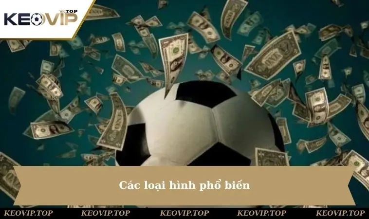 Các loại hình phổ biến
