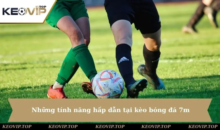Những tính năng hấp dẫn giúp bạn có được nhận định tốt