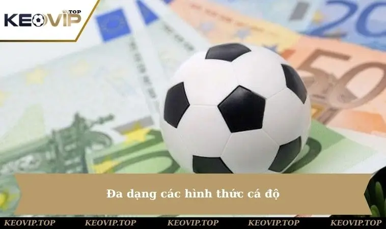 Đa dạng các hình thức cá độ
