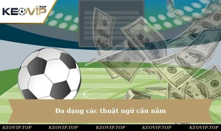 Đa dạng các thuật ngữ cần nắm