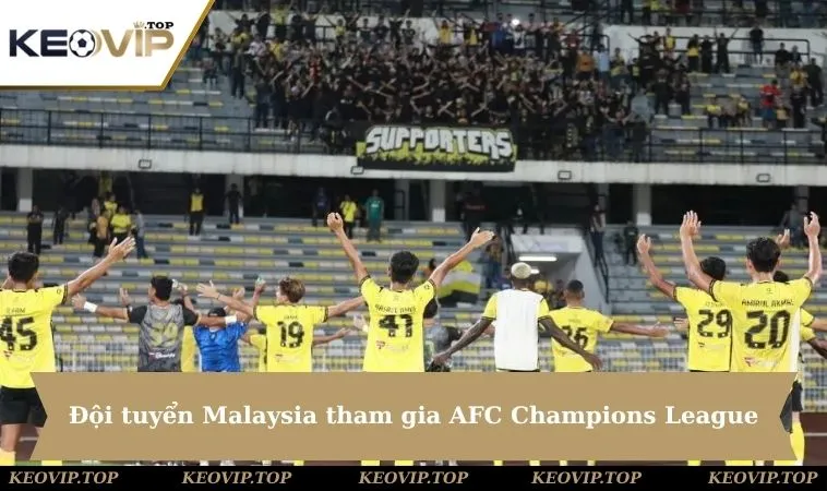 Đội tuyển Malaysia tham gia AFC Champions League