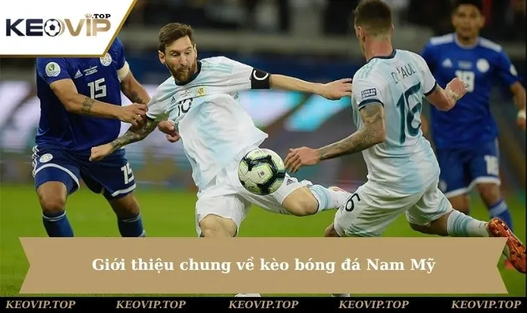Giới thiệu chung về kèo bóng đá Nam Mỹ