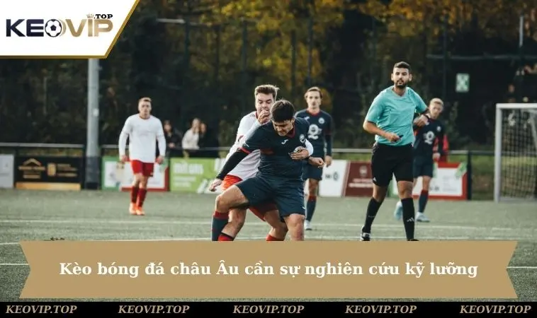 Kèo bóng đá châu Âu cần sự nghiên cứu kỹ lưỡng