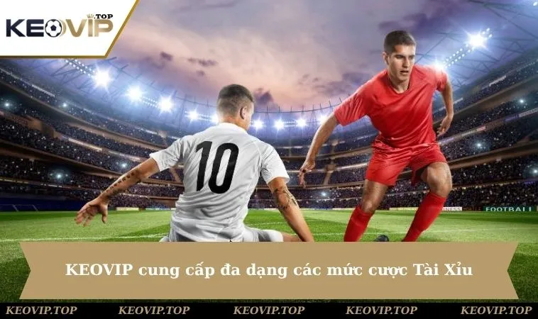 KEOVIP cung cấp đa dạng các mức cược Tài Xỉu