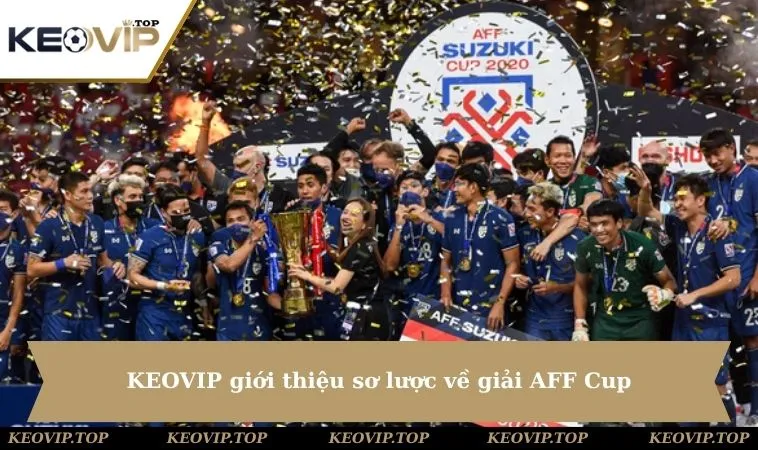 KEOVIP giới thiệu sơ lược về giải AFF Cup
