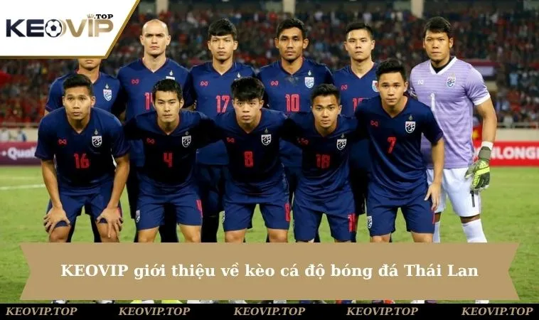 KEOVIP giới thiệu về kèo cá độ bóng đá Thái Lan