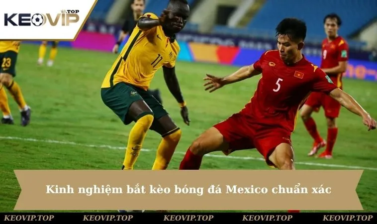 Kinh nghiệm bắt kèo bóng đá Mexico chuẩn xác