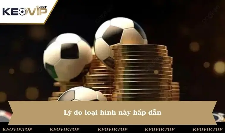 Lý do loại hình này hấp dẫn