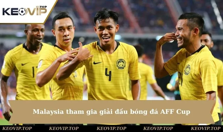 Malaysia tham gia giải đấu bóng đá AFF Cup