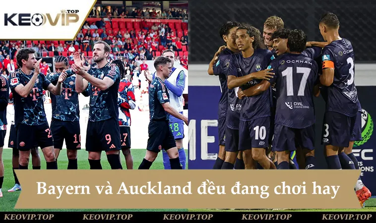 Soi kèo Bayern vs Auckland City, đội bóng cửa dưới gần như sẽ thảm bại trước đại diện nước Đức