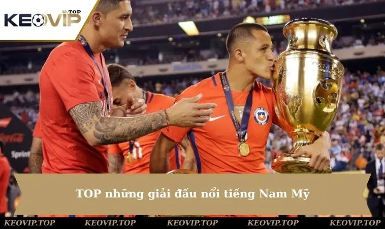 TOP những giải đấu nổi tiếng Nam Mỹ