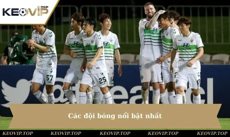 Các đội bóng nổi bật nhất