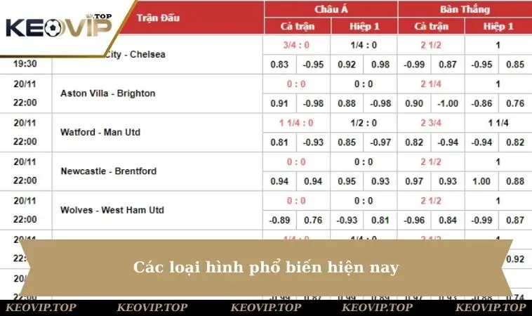Các loại phổ biến hiện nay