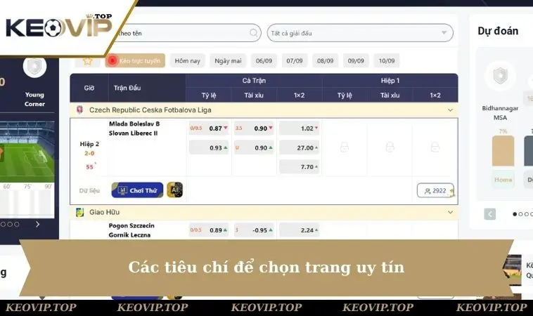 Các tiêu chí để chọn trang uy tín