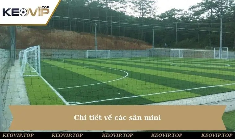 Chi tiết về các sân mini