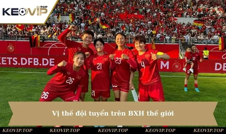 Vị thế đội tuyển trên BXH thế giới