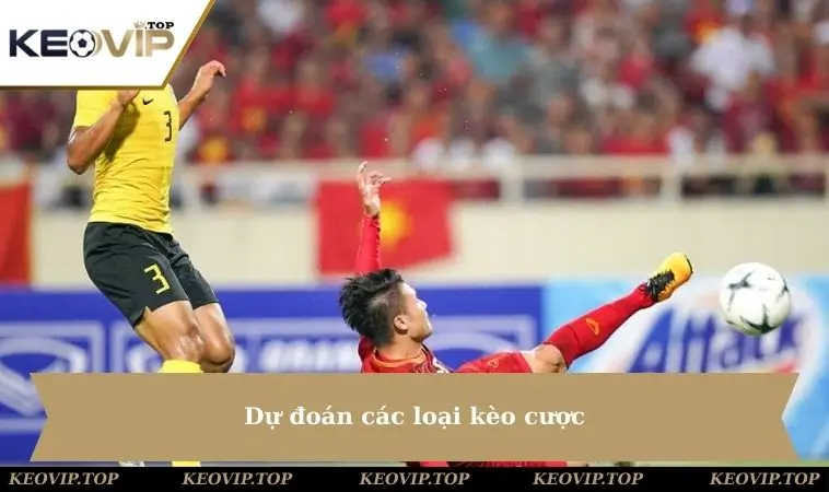 Dự đoán các loại kèo cược