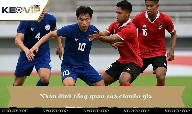 Nhận định của chuyên gia