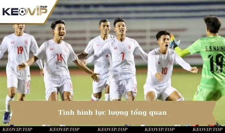 Tình hình lực lượng tổng quan 